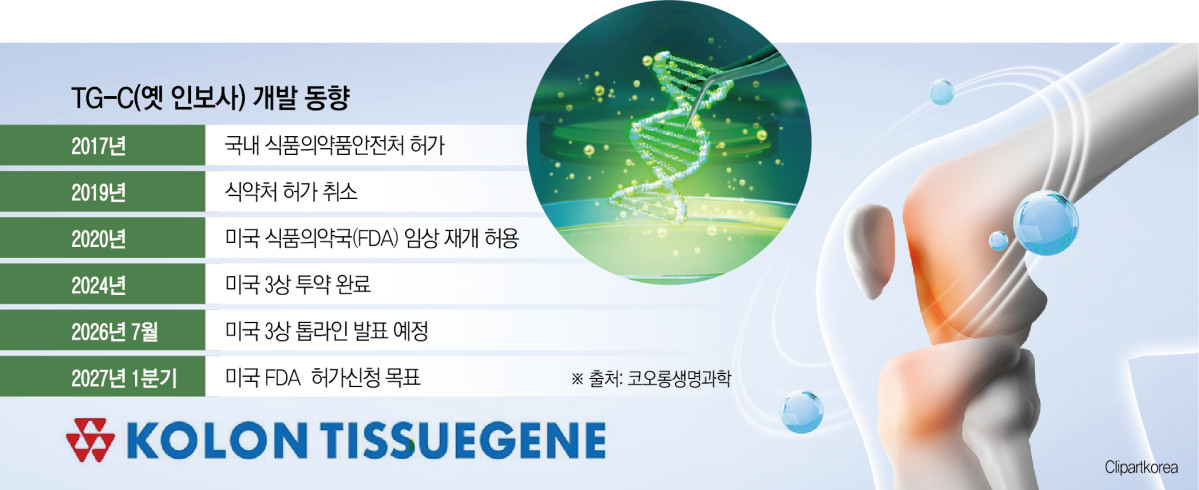 (그래픽=신미영 기자 win8226@)