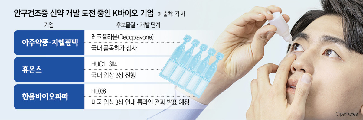 (그래픽=신미영 기자 win8226@)