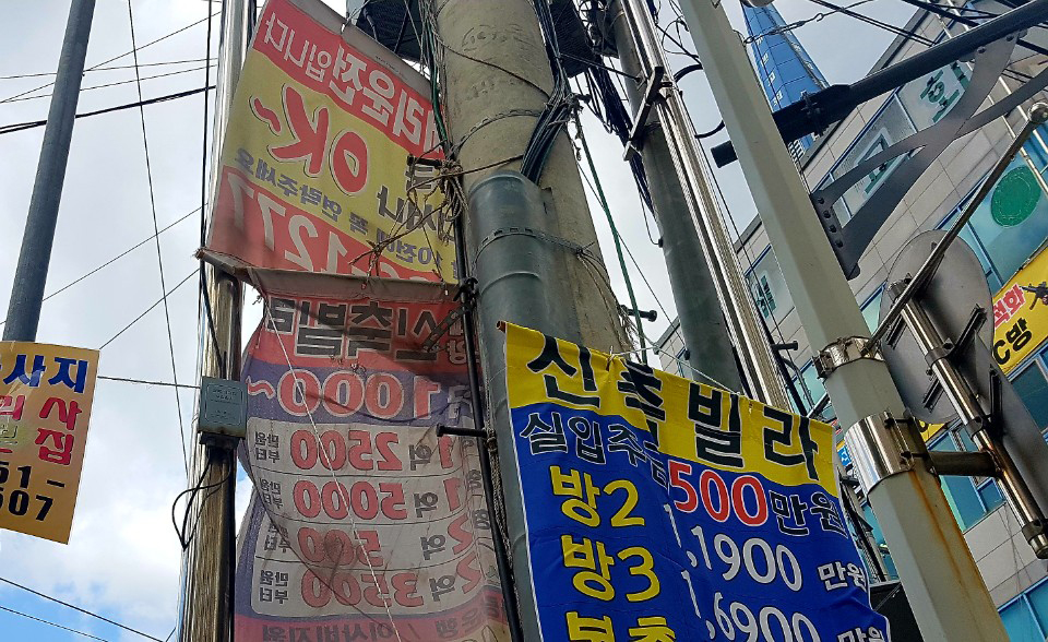 ▲전봇대에 불법광고물이 붙어 있는 모습. (뉴시스)