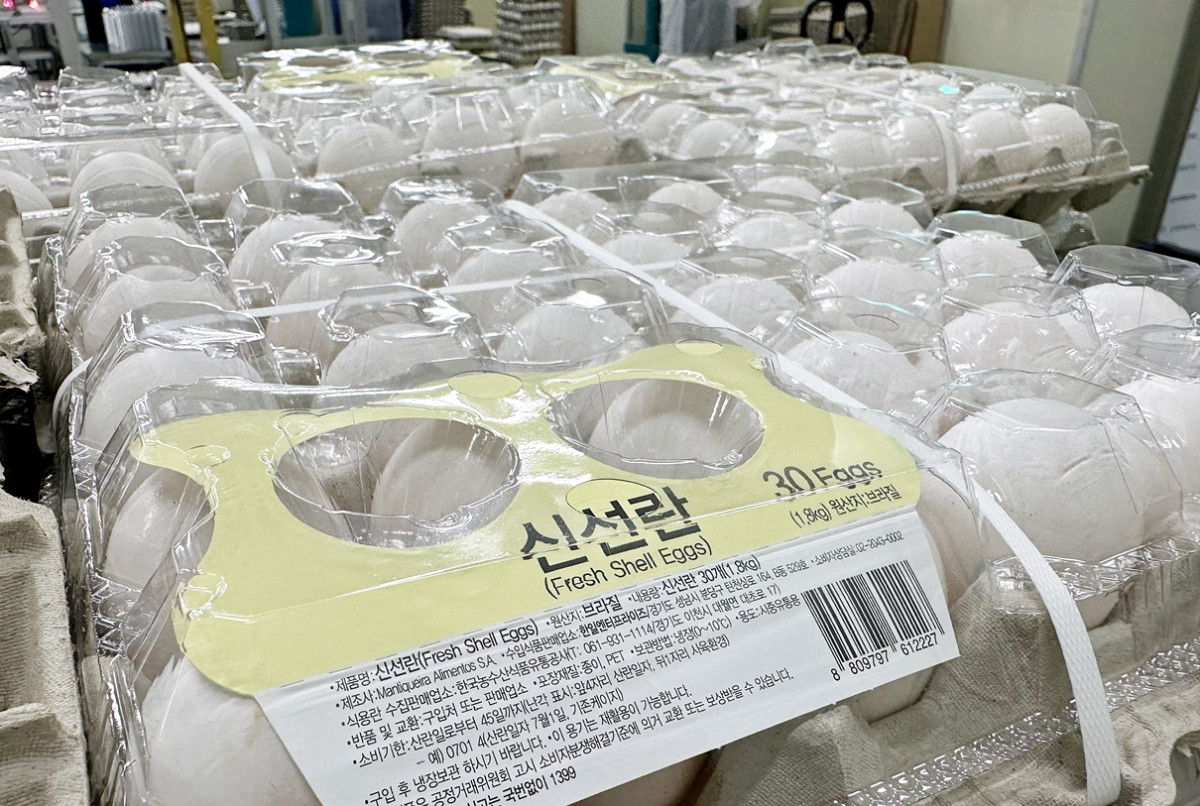 ▲브라질산 신선란 포장 사진 (사진제공=한국농수산식품유통공사)