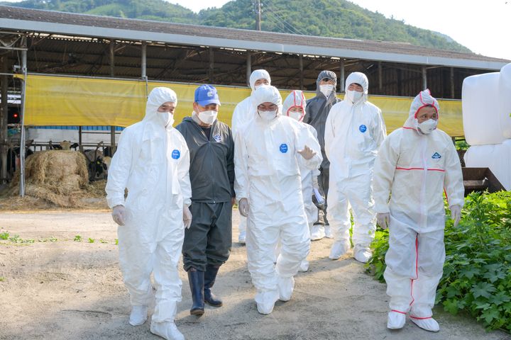 ▲손훈모 순천시장이 소 브루셀라가 발생한 젖소 농가를 살펴보고 있다. (사진제공=순천시)