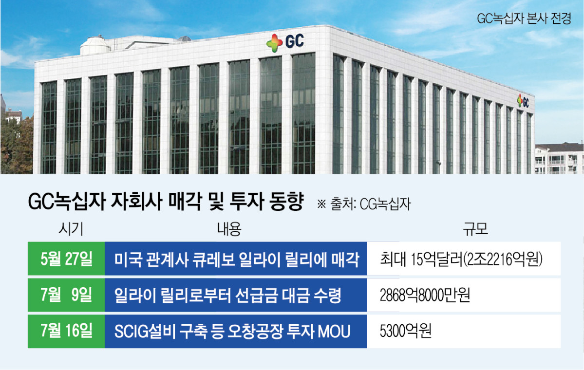 (그래픽=신미영 기자 win8226@)