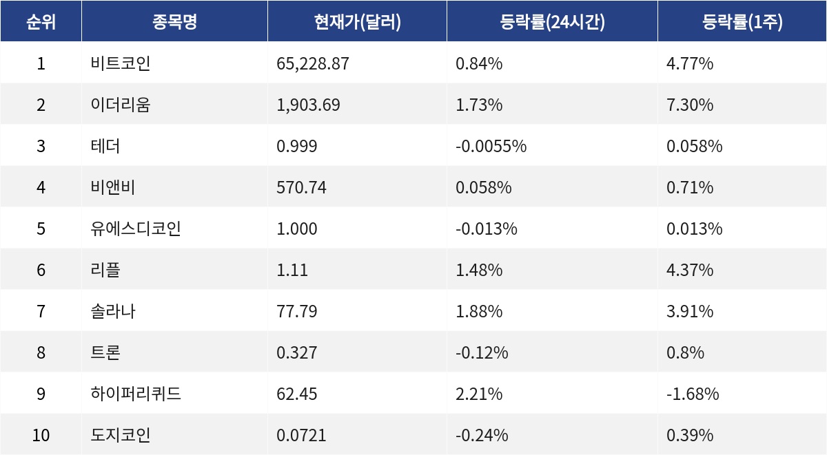 ▲자료제공=MetaVX
