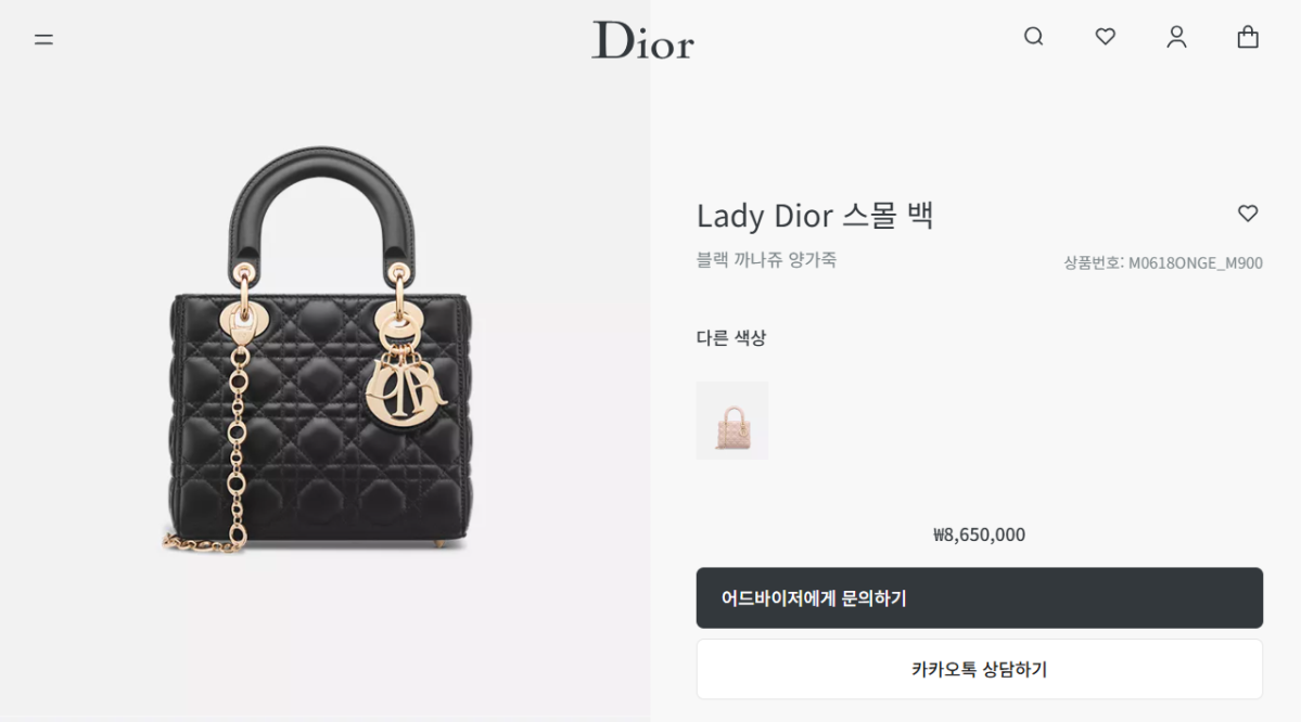 ▲디올 레이디 디올 스몰 백 (사진제공 디올)