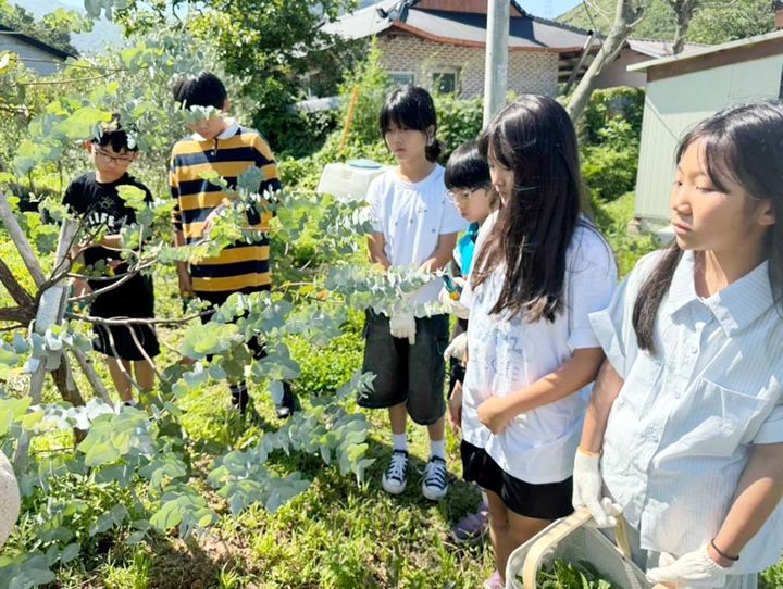 ▲전남광주특별시 해남군의 '정주형 농촌유학' 프로그램에 참여하고 있는 학생들. (사진제공=해남군)