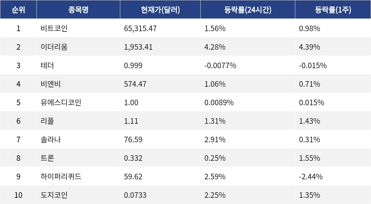 ▲자료제공=MetaVX