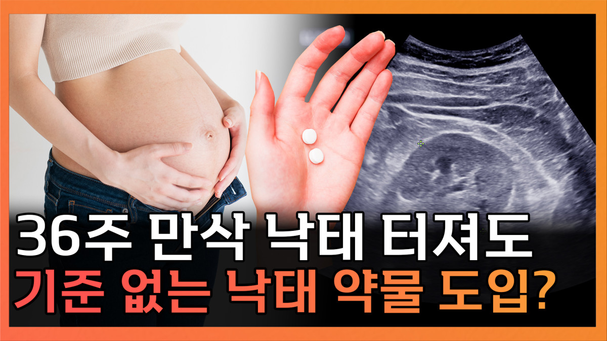 ▲‘T 같은 F’ 화면 갈무리. (이투데이TV)