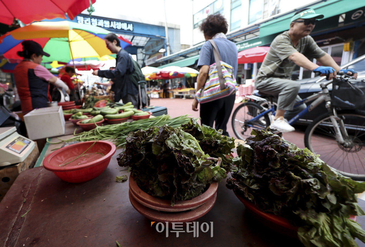 ▲장마가 끝난 뒤 폭염이 이어지고 있는 가운데 29일 서울 동대문구 청량리청과물시장을 찾은 시민들이 장을 보고 있다. 고성준 기자 joonko1@