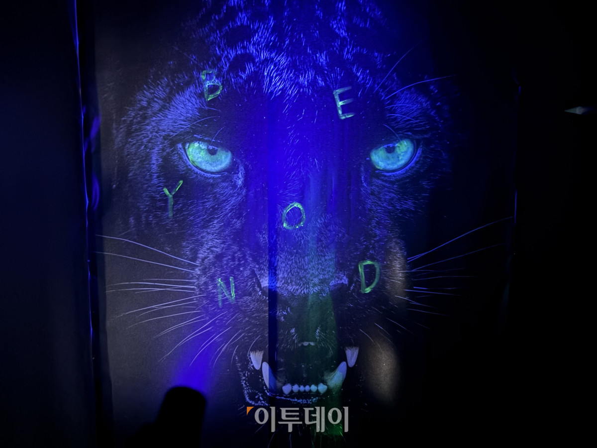 ▲UV 랜턴으로 전시장 내부를 비춰보면 숨겨진 글자들을 발견할 수 있다. (황민주 기자 minchu@)