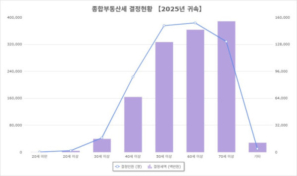 ▲2025년 종합부동산세 연령대별 결정현황(국세통계포털)