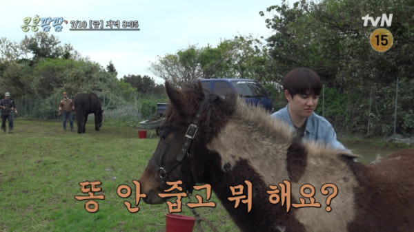 ▲‘콩콩팜팜’(사진출처=tvN)