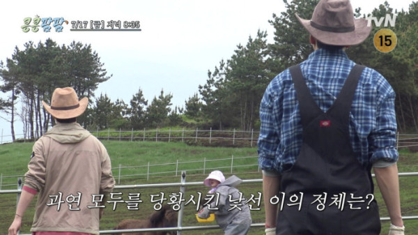 ▲'콩콩팜팜'(사진출처=tvN)