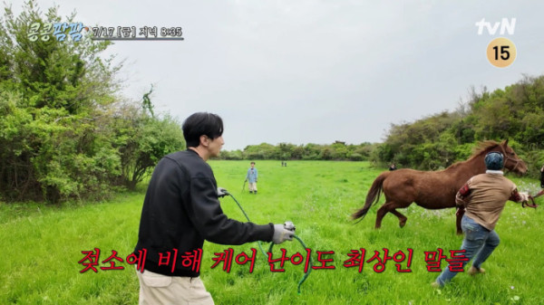 ▲'콩콩팜팜'(사진출처=tvN)