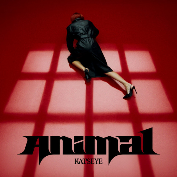▲캣츠아이 '애니멀(Animal)' 디지털 커버(사진출처=하이브-게펜레코드)