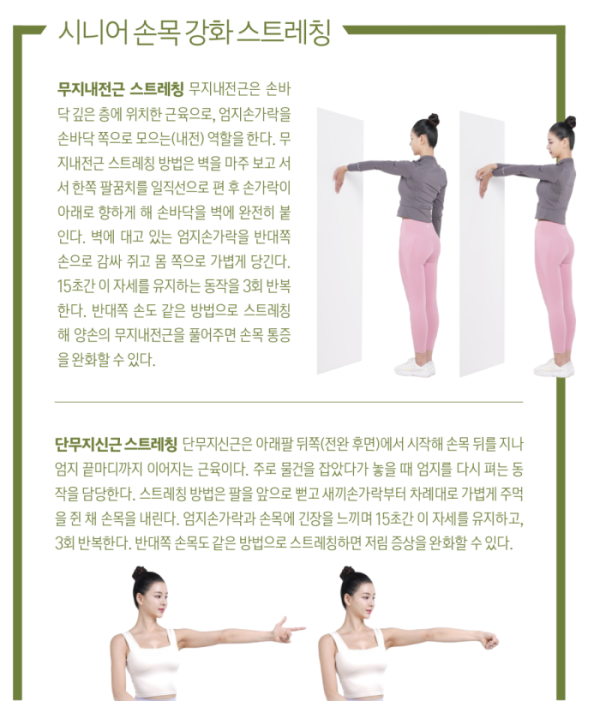 (그래픽 이은숙 기자)