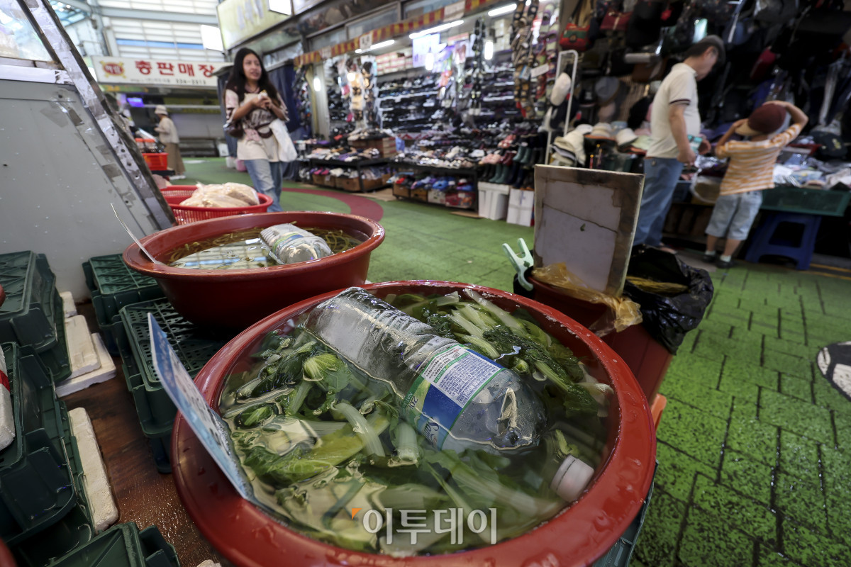 ▲전국 대부분 지역에 폭염특보가 발효된 3일 서울 마포구 망원월드컵시장의 한 채소 가게 상품에 얼음생수통이 놓여있다. 이날 기상청은 낮 최고기온이 37도까지 오르는 등 극심한 폭염이 이어질 것으로 전망했다. 필수 업무를 제외한 야외활동과 실외작업을 최대한 중단하거나 연기하고, 무더위쉼터나 냉방시설이 있는 곳으로 이동해 물을 마시며 휴식을 취할 것을 당부했다. 고성준 기자 joonko1@