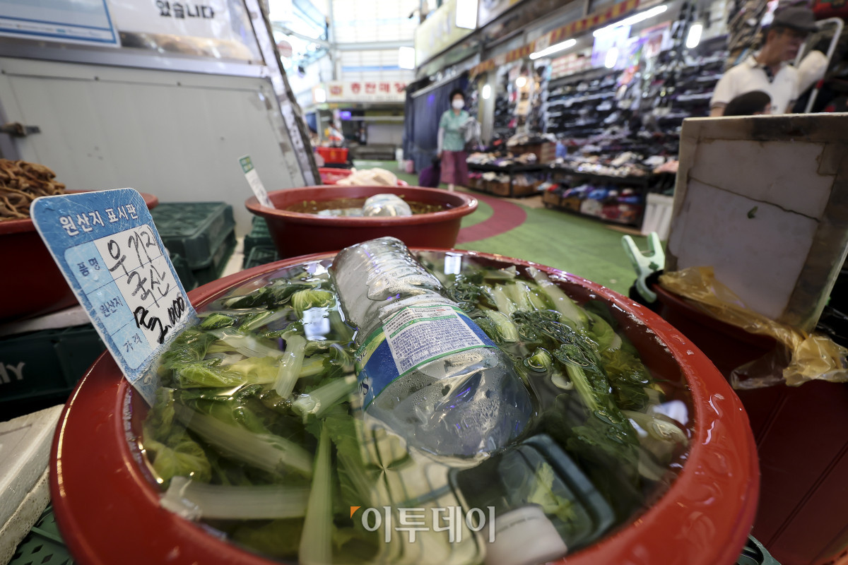 ▲전국 대부분 지역에 폭염특보가 발효된 3일 서울 마포구 망원월드컵시장의 한 채소 가게 상품에 얼음생수통이 놓여있다. 이날 기상청은 낮 최고기온이 37도까지 오르는 등 극심한 폭염이 이어질 것으로 전망했다. 필수 업무를 제외한 야외활동과 실외작업을 최대한 중단하거나 연기하고, 무더위쉼터나 냉방시설이 있는 곳으로 이동해 물을 마시며 휴식을 취할 것을 당부했다. 고성준 기자 joonko1@