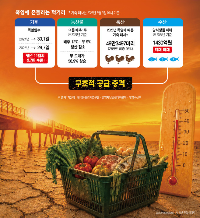 (그래픽=신미영 기자 win8226@)