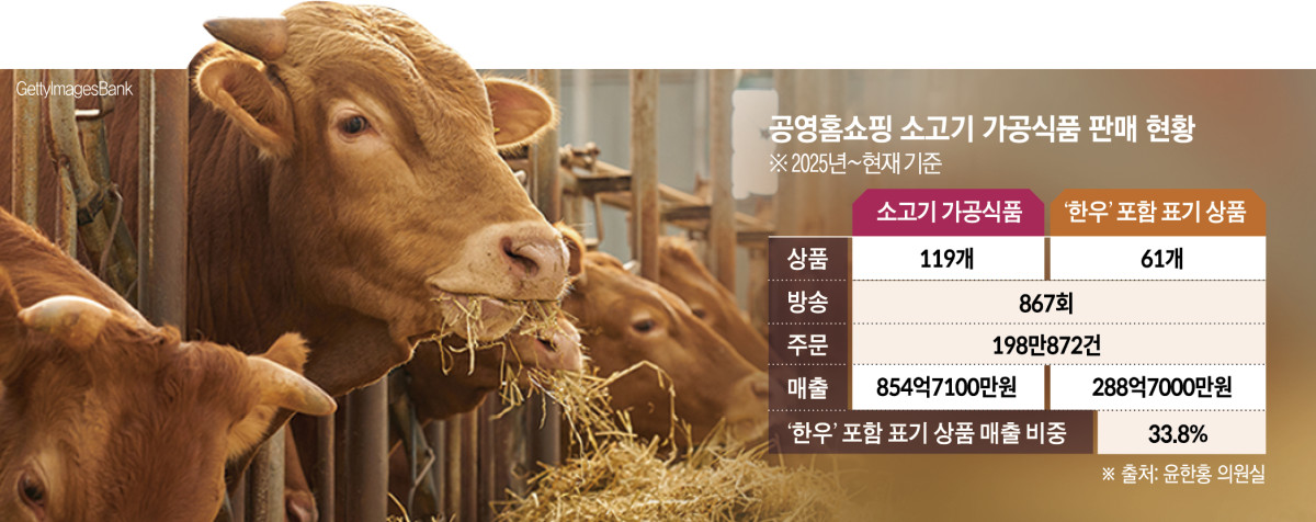 ▲공영홈쇼핑 소고기 가공식품 판매 현황 (이투데이 그래픽팀=신미영 기자)