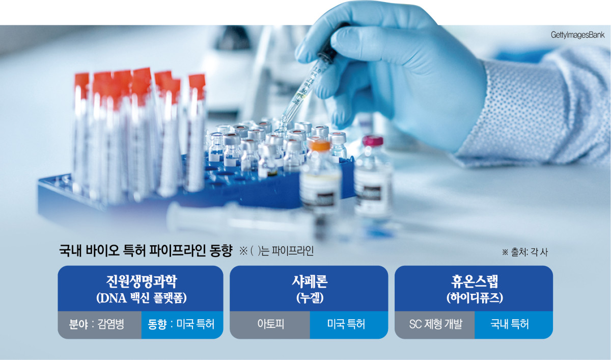 (그래픽=신미영 기자 win8226@)