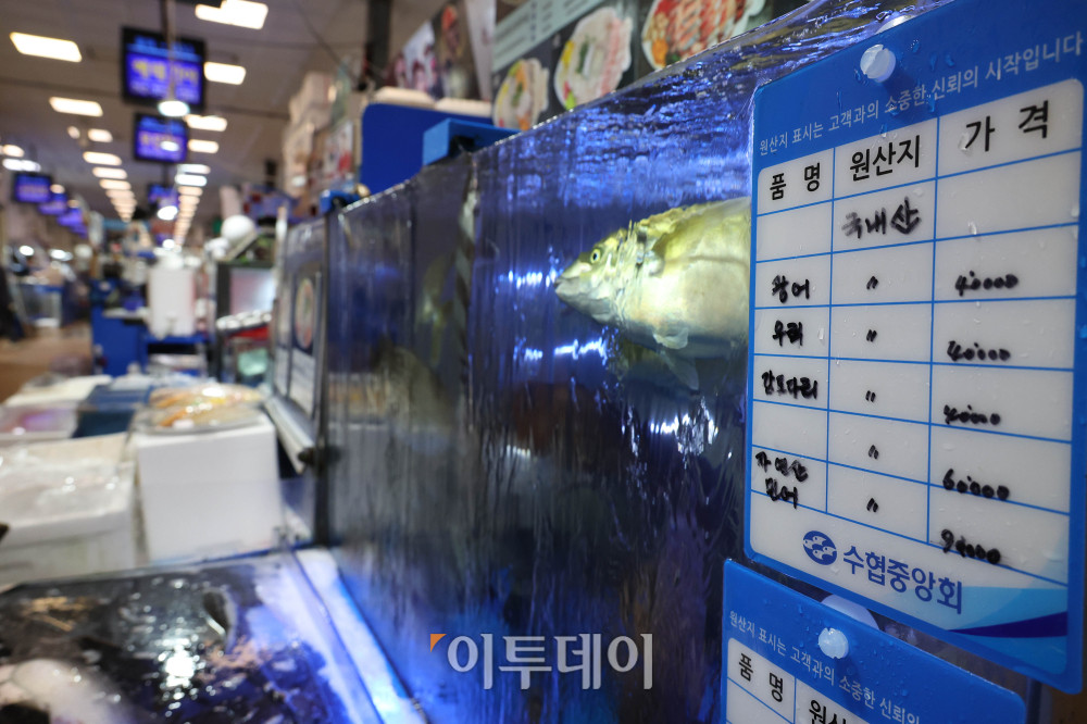 ▲기록적인 폭염과 가뭄이 이어지고 해수 온도까지 치솟으면서 양식어류와 가축 폐사 피해가 확산하고 있다. 정부는 농축수산물 가격 변동과 수급 불안에 대응해 광어·우럭 등 양식어류의 조기 출하를 유도하고, 수산물 구매 시 최대 50% 할인 지원을 이어가는 등 수급 안정 대책을 강화한다는 방침이다. 13일 서울 동작구 노량진수산시장이 비교적 한산한 모습을 보이고 있다. 고이란 기자 photoeran@