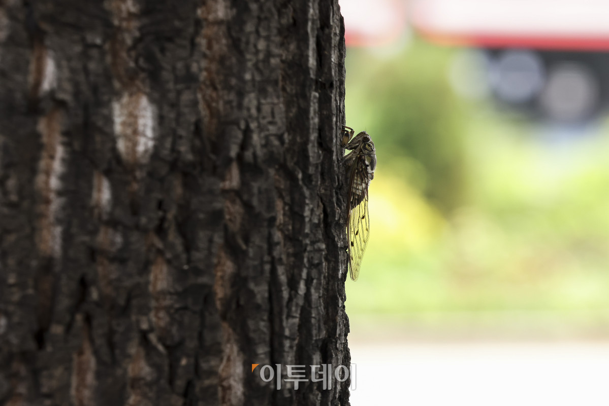 ▲고성준 기자 joonko1@