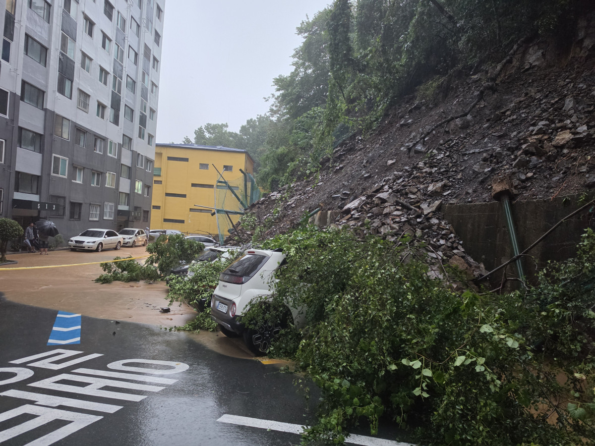 ▲17일 오전 경남 거제시 한 주택가에서 산사태가 발생해 흘러내린 토사와 나무가 주차된 차량을 덮쳤다. (연합뉴스)