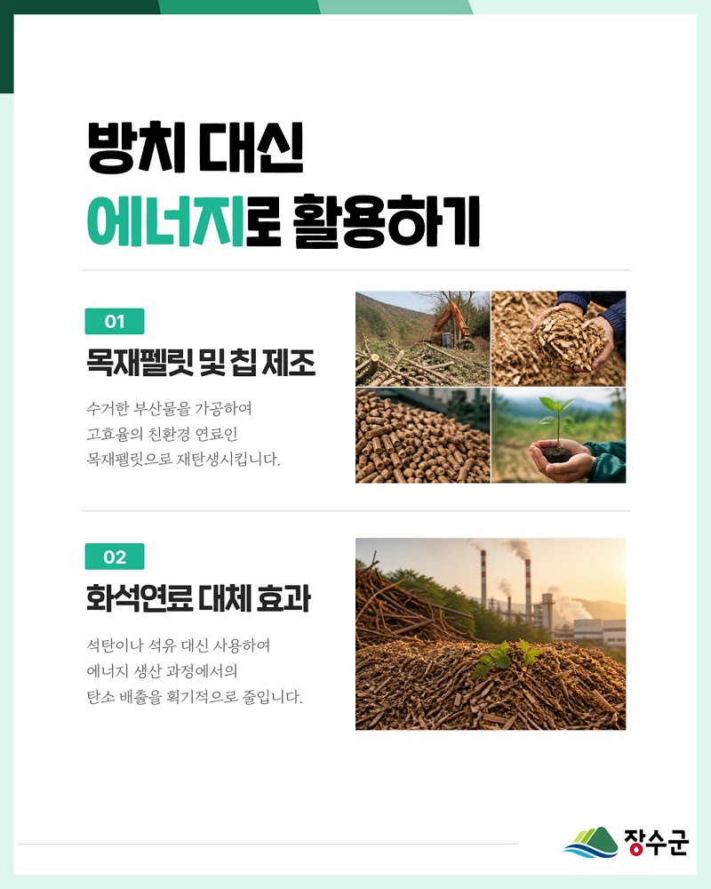 ▲미이용바이오매스 인포그래픽. (사진제공=장수군)