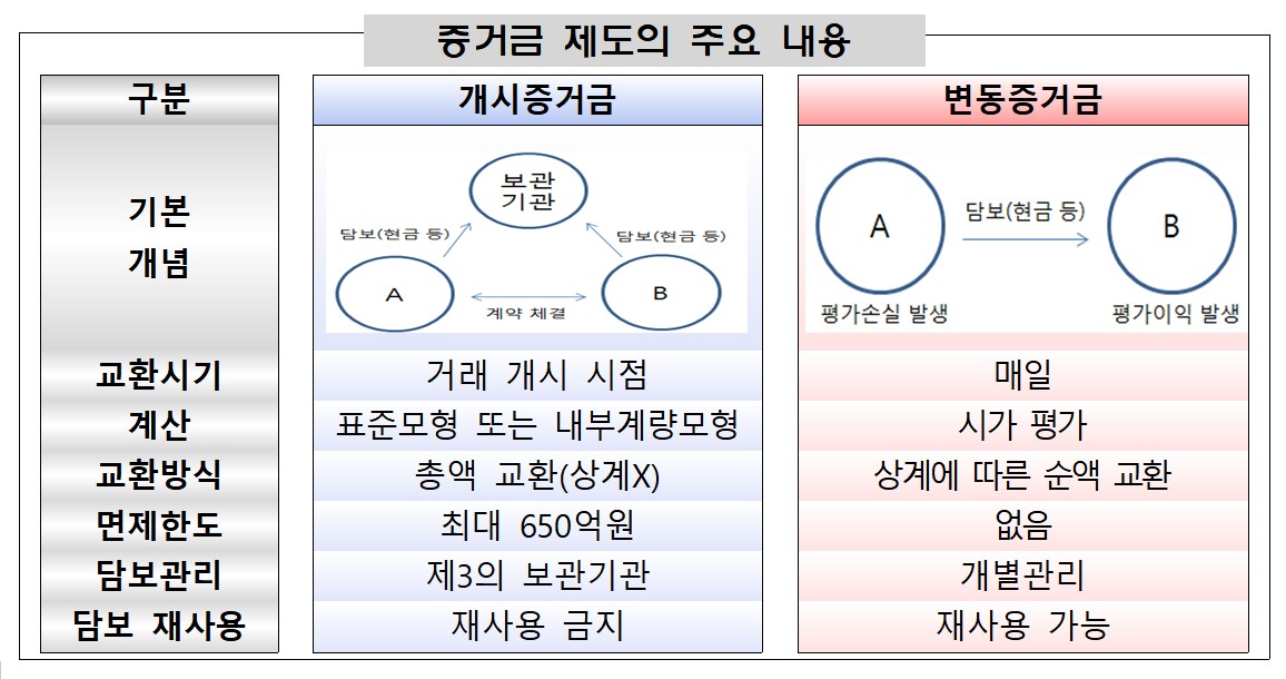 (금융감독원)