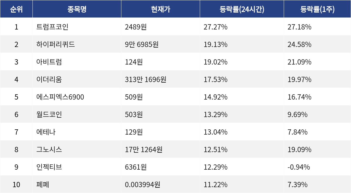 ▲자료제공=MetaVX