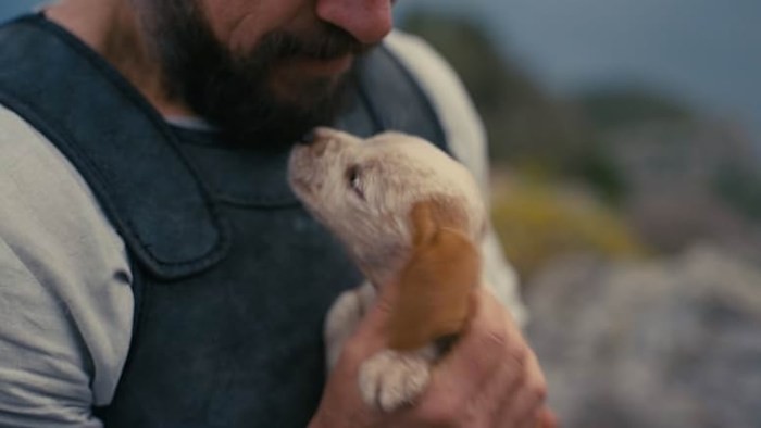 ▲영화 '오디세이' 속 주인공 오디세우스의 반려견 아르고스. (출처=IMDb)