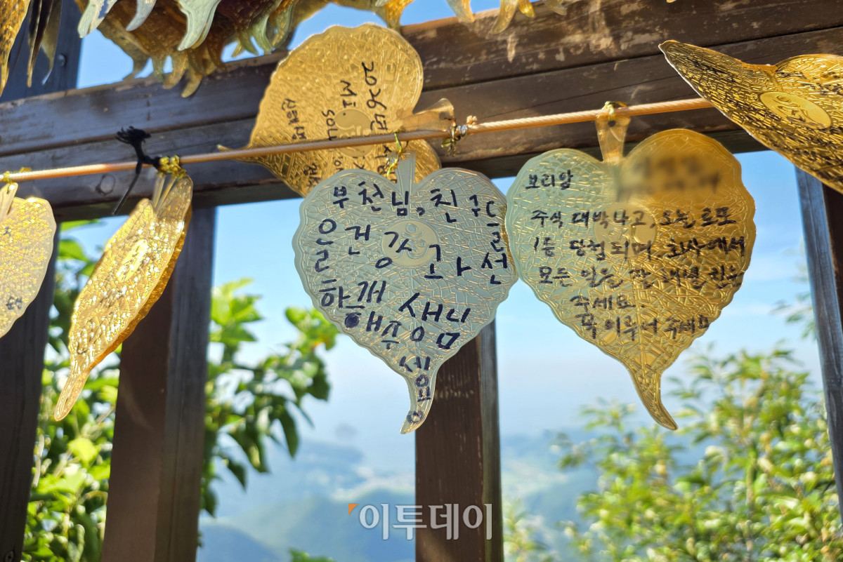 ▲고이란 기자 photoran@