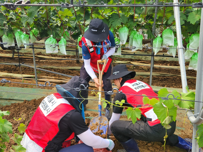 ▲‘서울시 바로봉사단’이 경남 거제시 수해 현장에서 복구 작업을 진행하고 있다. (사진제공=서울시)