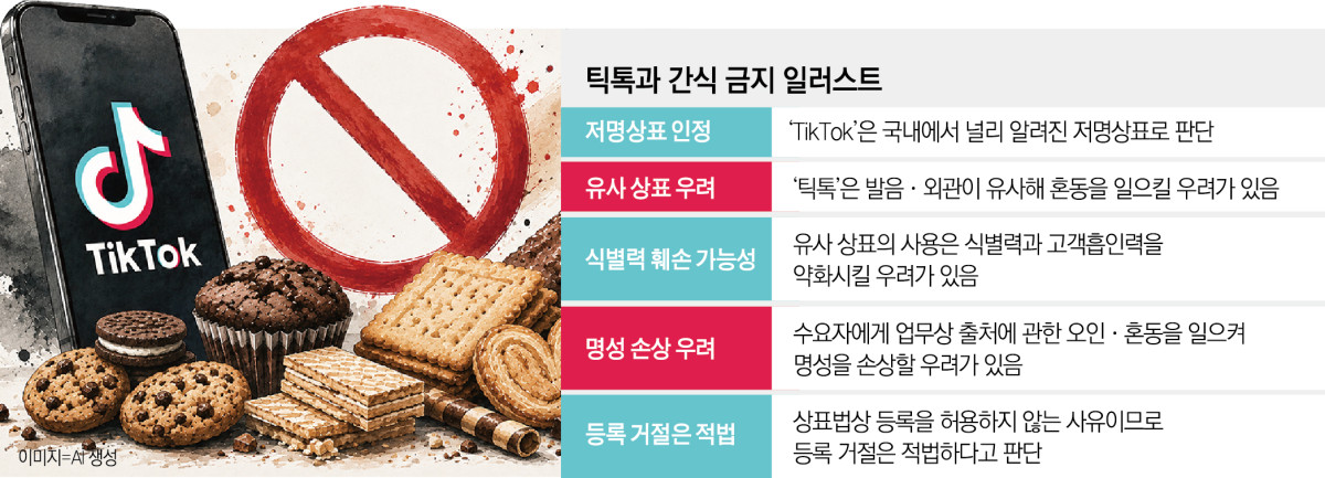 ▲틱톡 상표권 분쟁 이슈 정리 (이투데이 그래픽팀=신미영 기자)