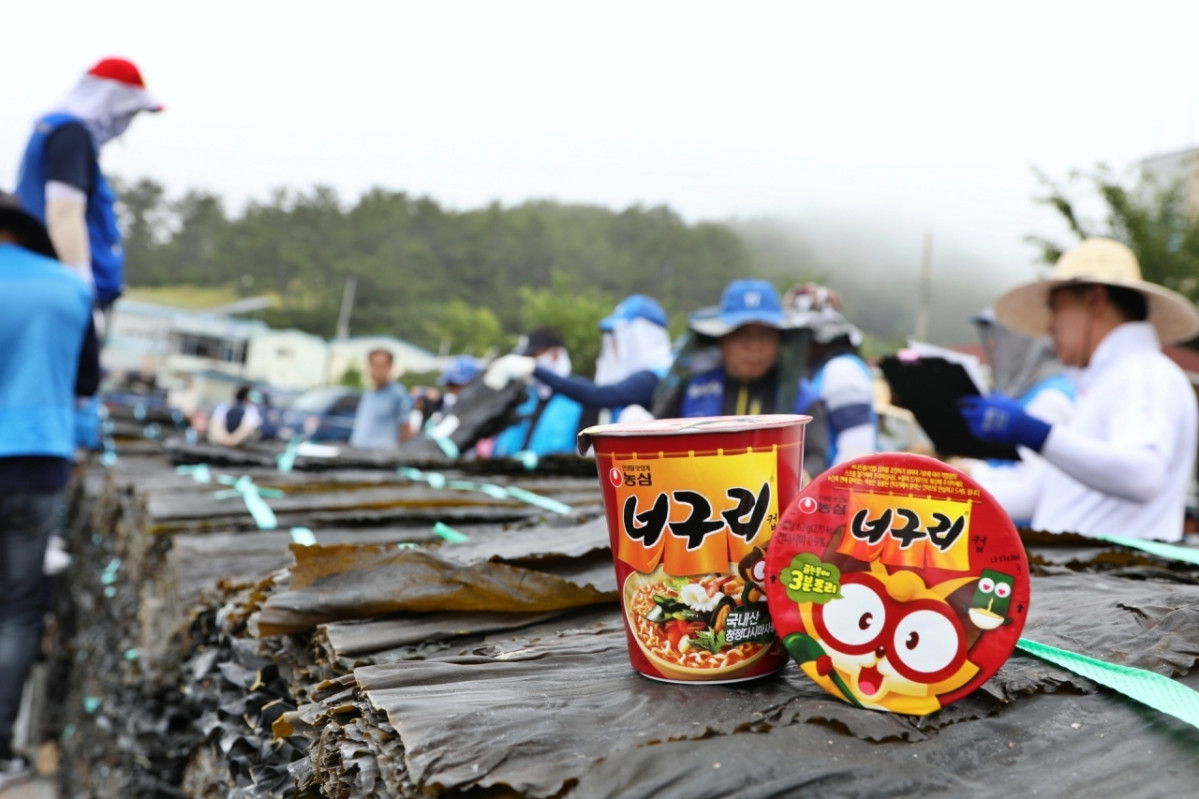 농심, “너구리 속 다시마 버리지마세요”⋯완도 햇다시마 490톤 구매