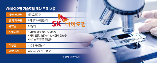 (그래픽=신미영 기자 win8226@)