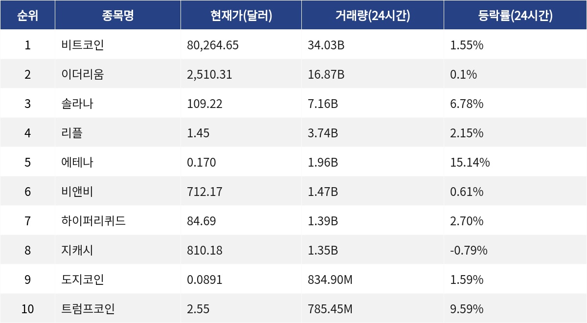 ▲자료제공=MetaVX