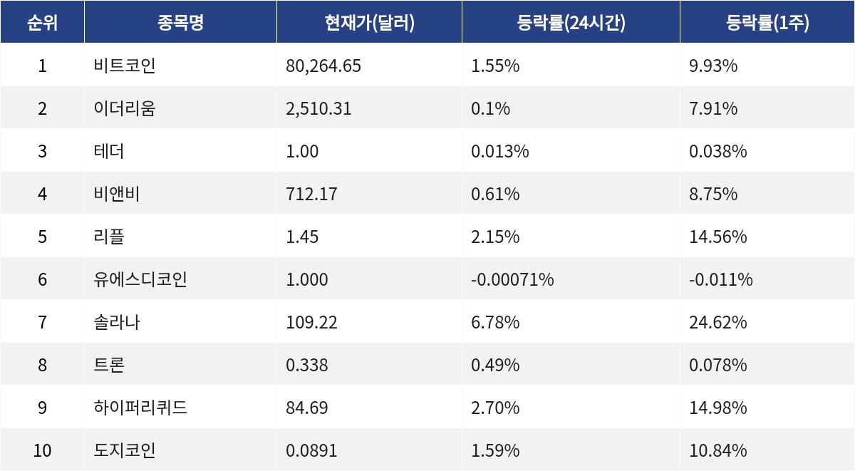 ▲자료제공=MetaVX
