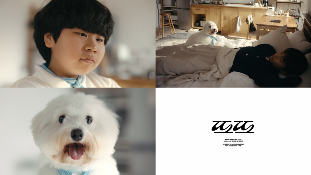 ▲(사진제공=물고기 뮤직)