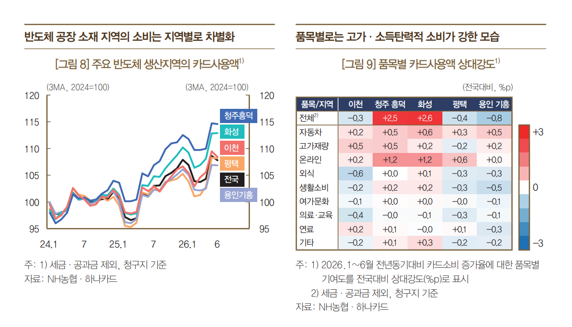 ▲주요 반도체 생산지역 카드 사용액 및 품목별 사용액 상대 강도 (제공 = 한국은행)