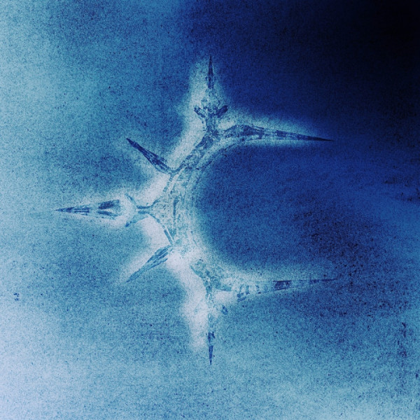 ▲콜드(사진출처=WAVY(웨이비) )
