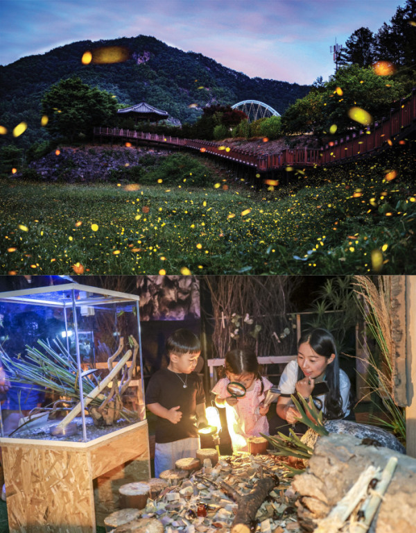 (무주군)