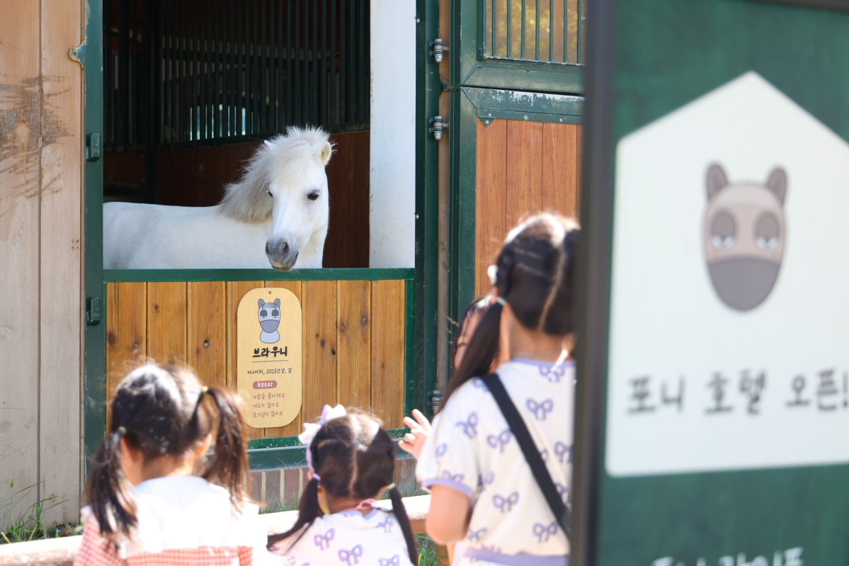 ▲아이들이 포니와 만나고 있는 모습 (사진제공=한국마사회)