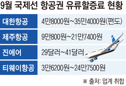 ▲그래픽=손미경 기자 sssmk@