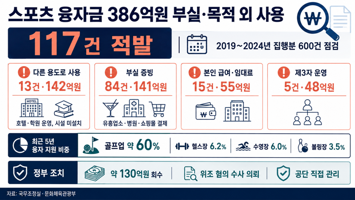▲스포츠산업 융자사업 운영 실태 조사 결과 인포그래픽 (국무조정실)