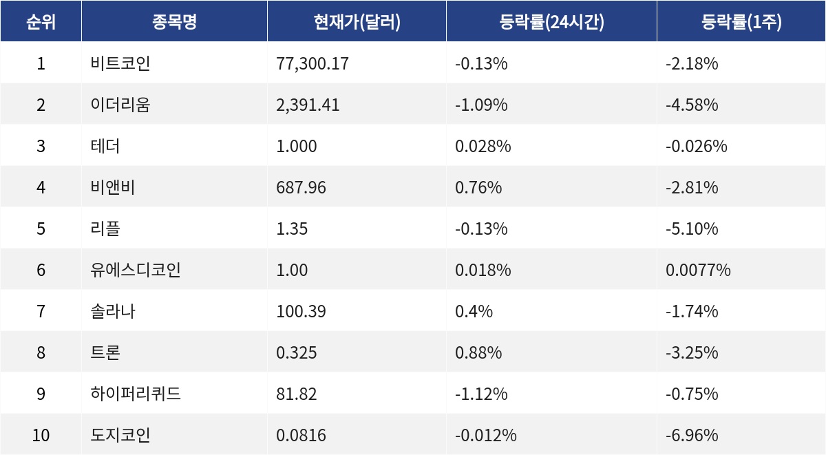 ▲자료제공=MetaVX