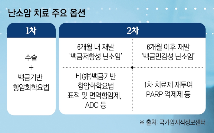 (그래픽=신미영 기자 win8226@)