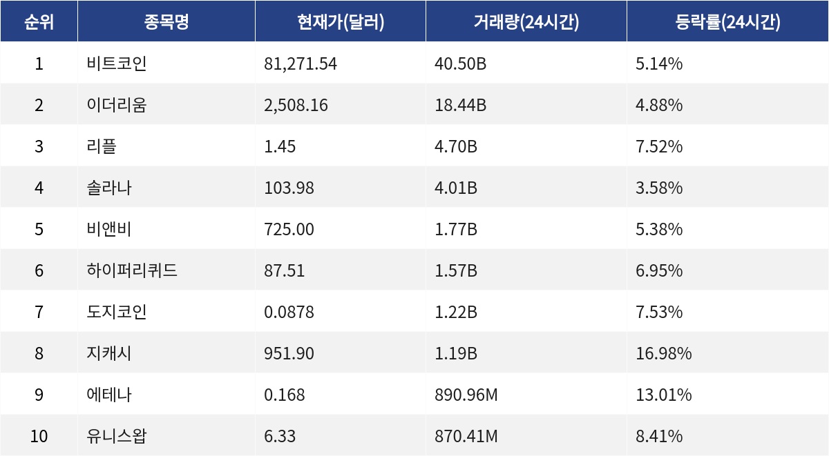 ▲자료제공=MetaVX