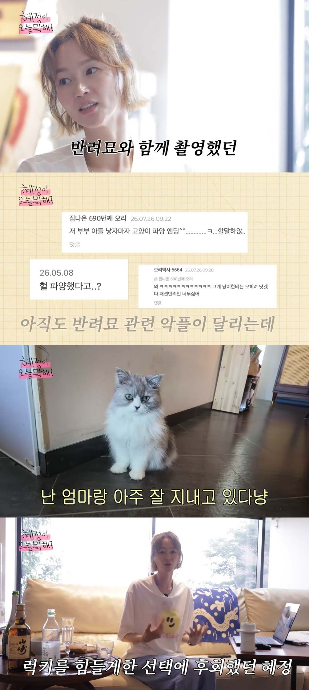 (출처=유튜브 채널 ‘혜정이, 오늘 뭐해?’ 캡처)