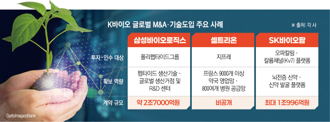 (그래픽=신미영 기자 win8226@)